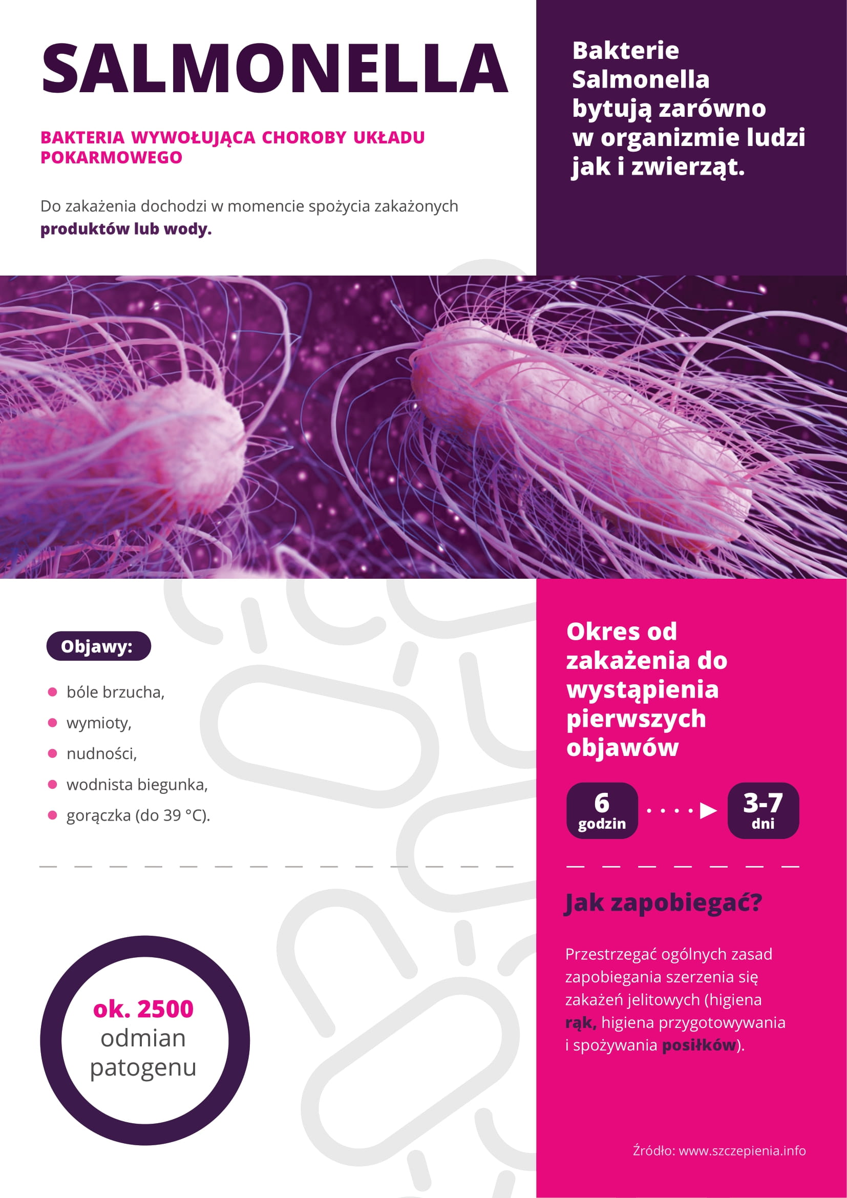 Ulotka wzw salmonella 2